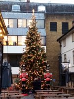 Christmas tree next door